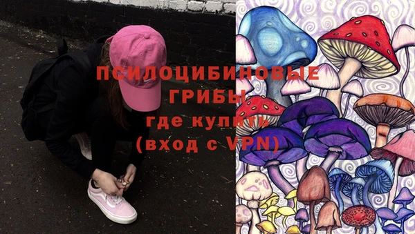 кристаллы Бородино