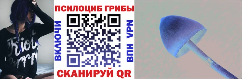 Купить  Буй  Галлюциногенные грибы Magic Shrooms 